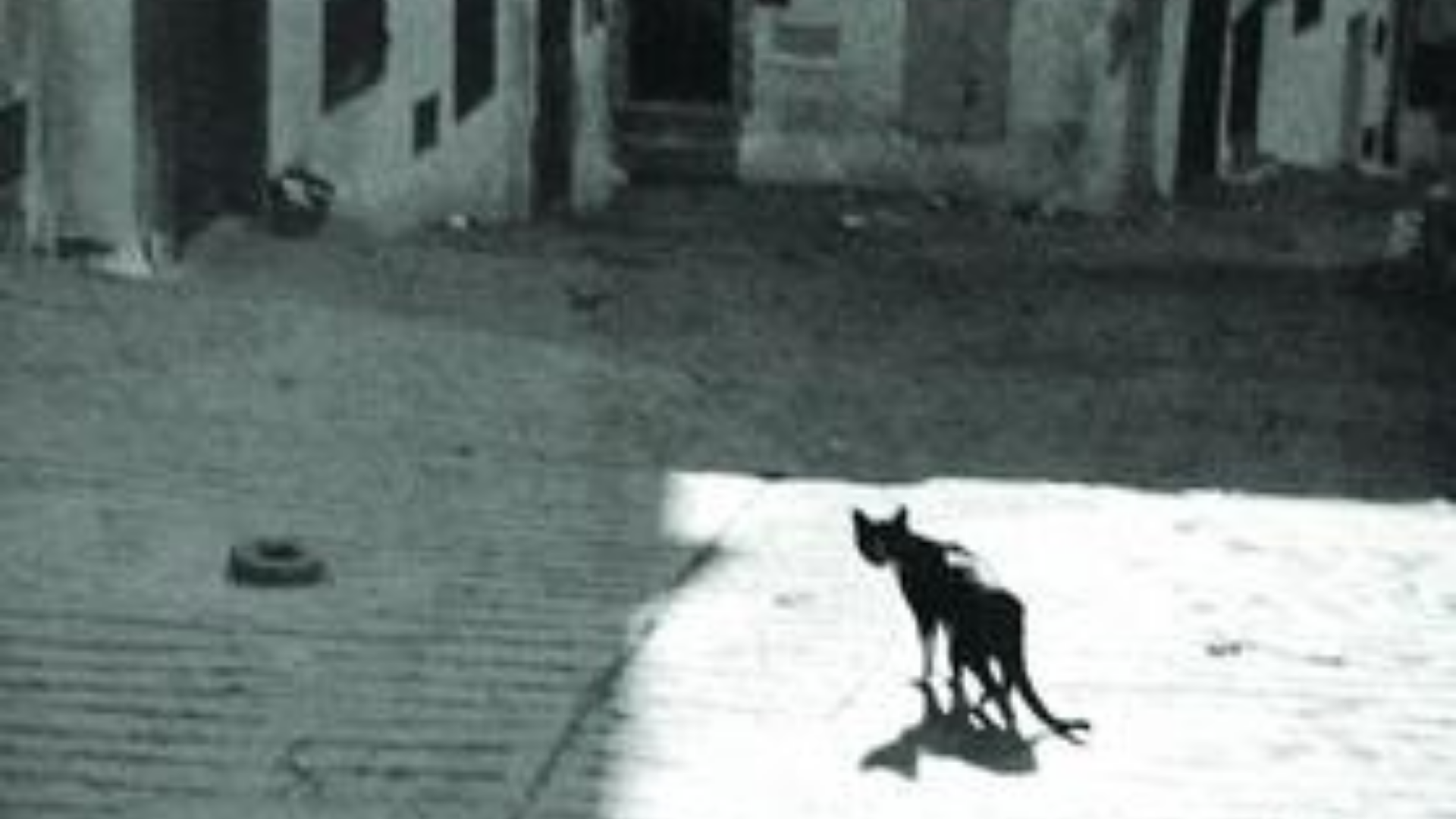 Classique du Mois – La Peste d&rsquo;Albert Camus