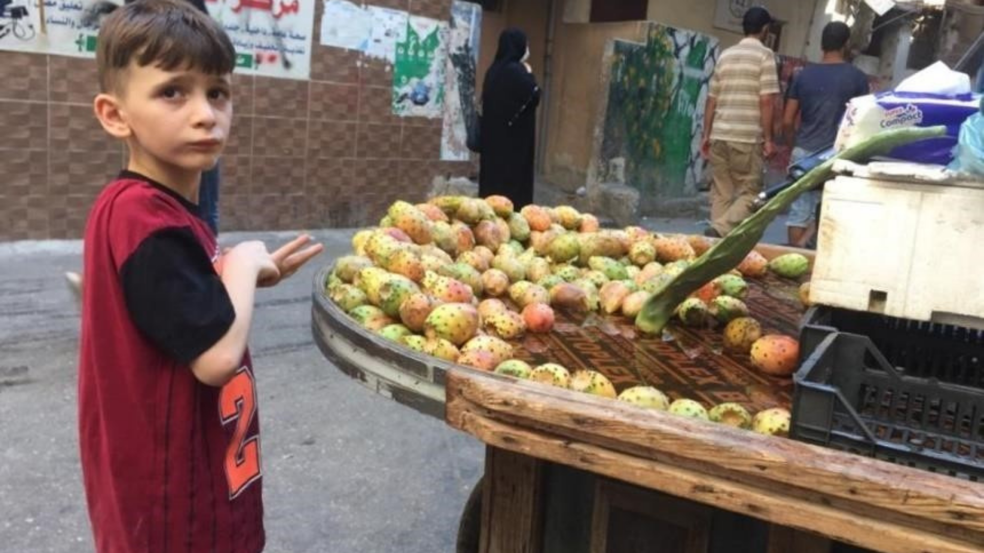 Au camp de Chatila, un projet d’autosuffisance alimentaire pour survivre