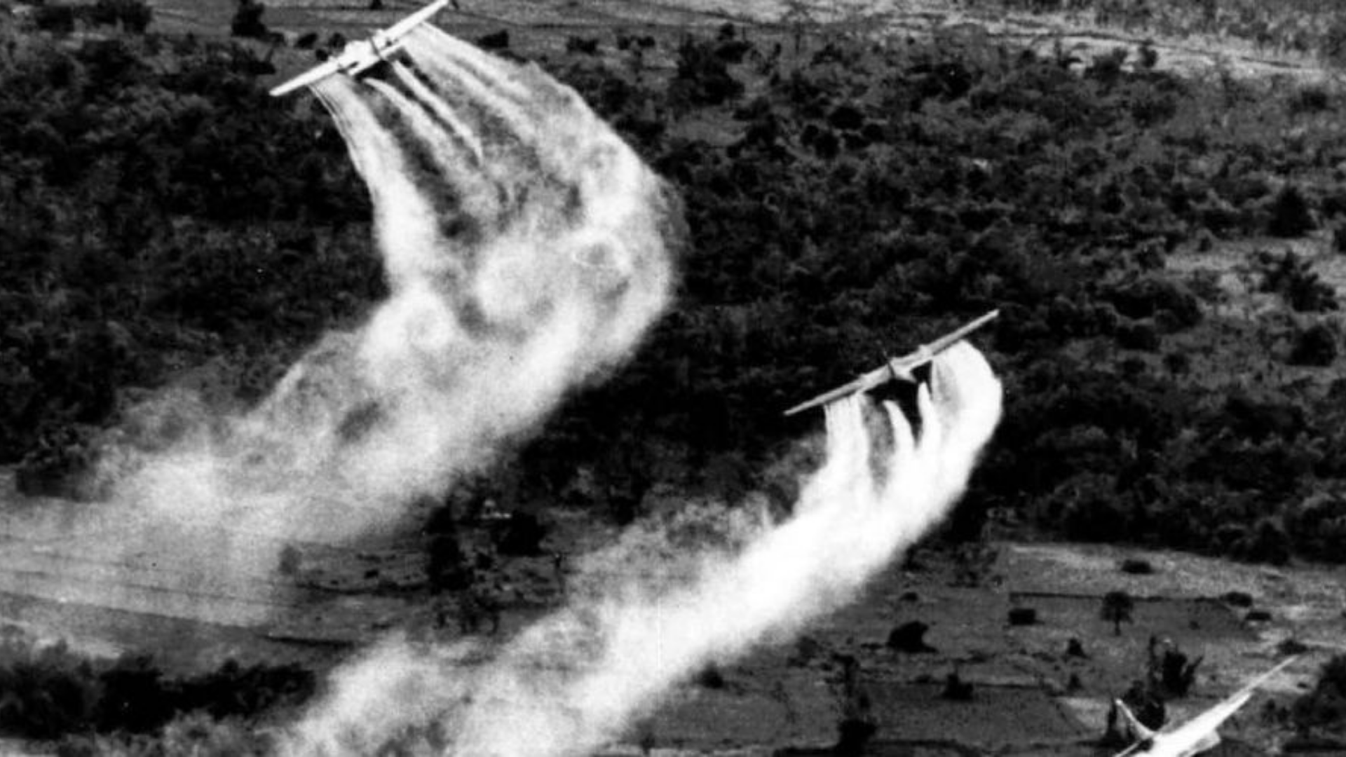 Agent orange : l’Histoire cachée d’un écocide