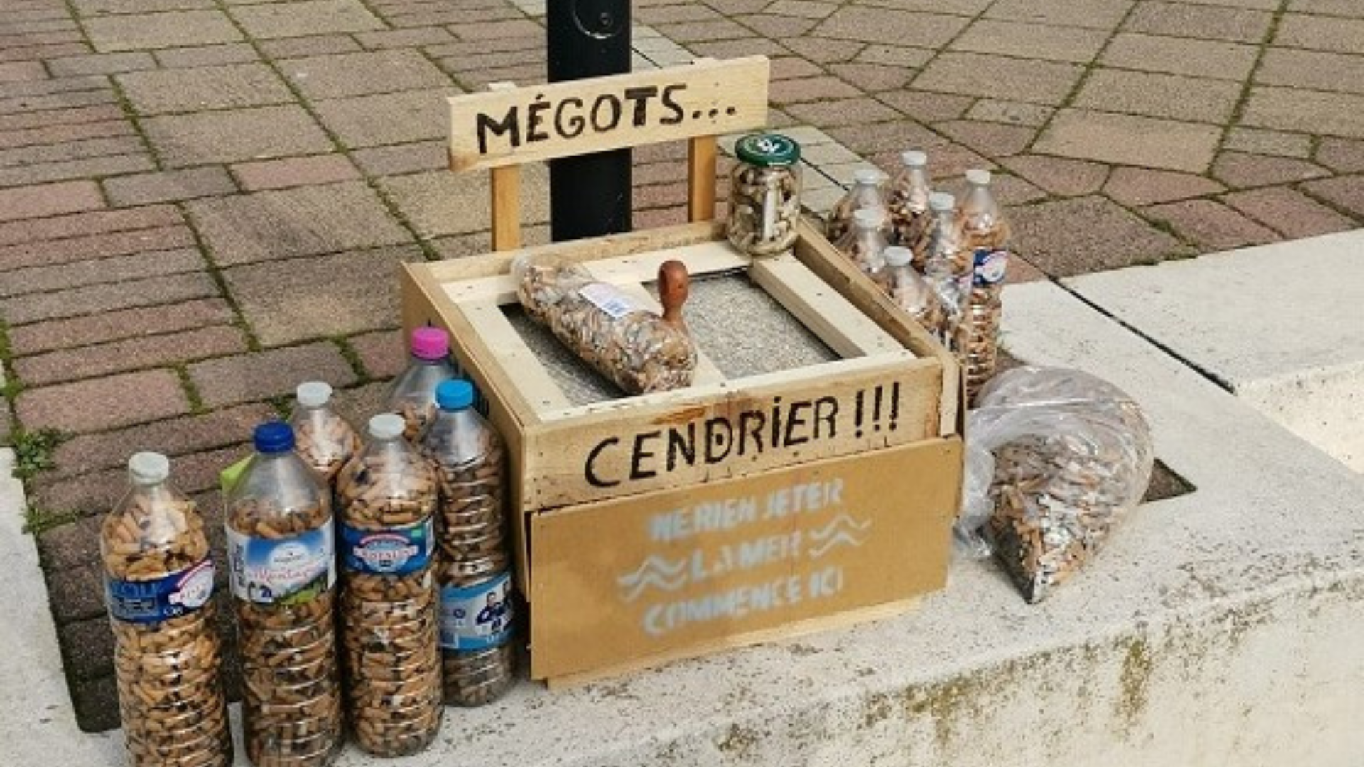 Graines Populaires, l’association qui veut « décloisonner l’écologie »