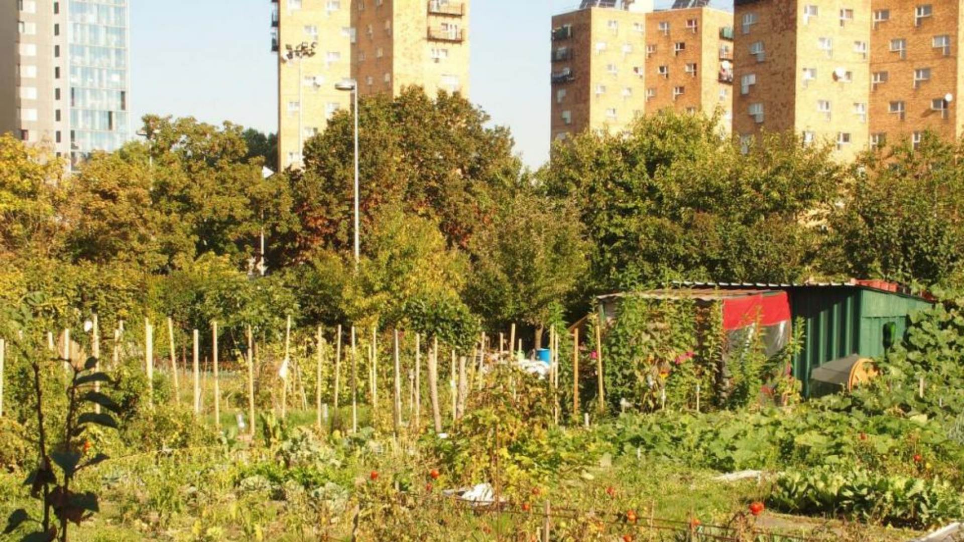 Les JO 2024 étouffent déjà l’Île de France