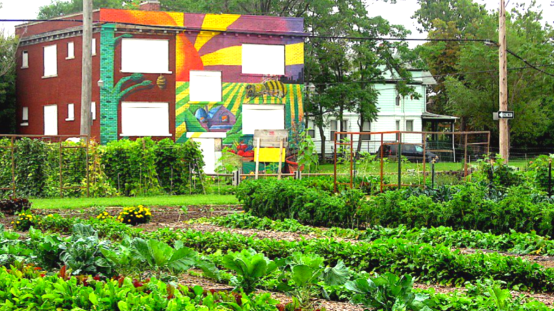 Detroit, une ville de fantômes et de fleurs