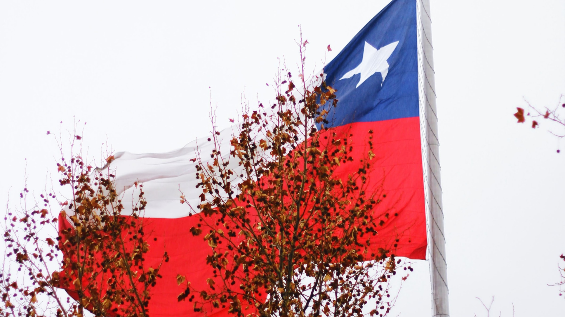 Rejeter pour mieux réformer ?