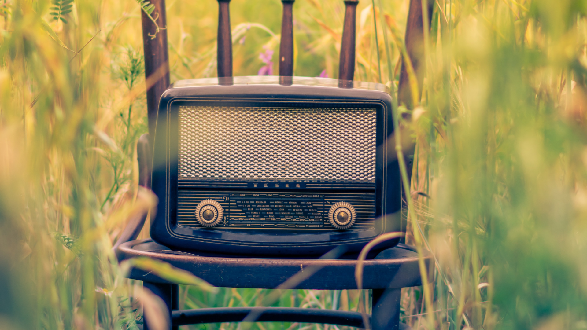 « Tournant environnemental » à Radio France : s’éduquer pour mieux refléter la société