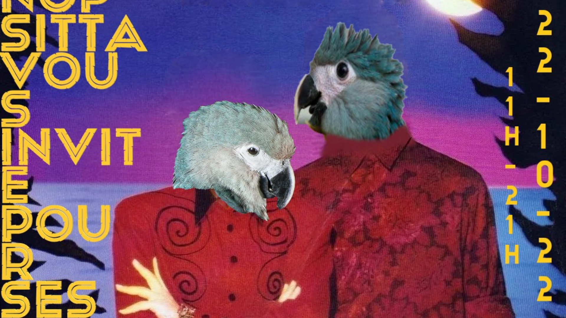 Demain, tous à la Cyanopsitta !