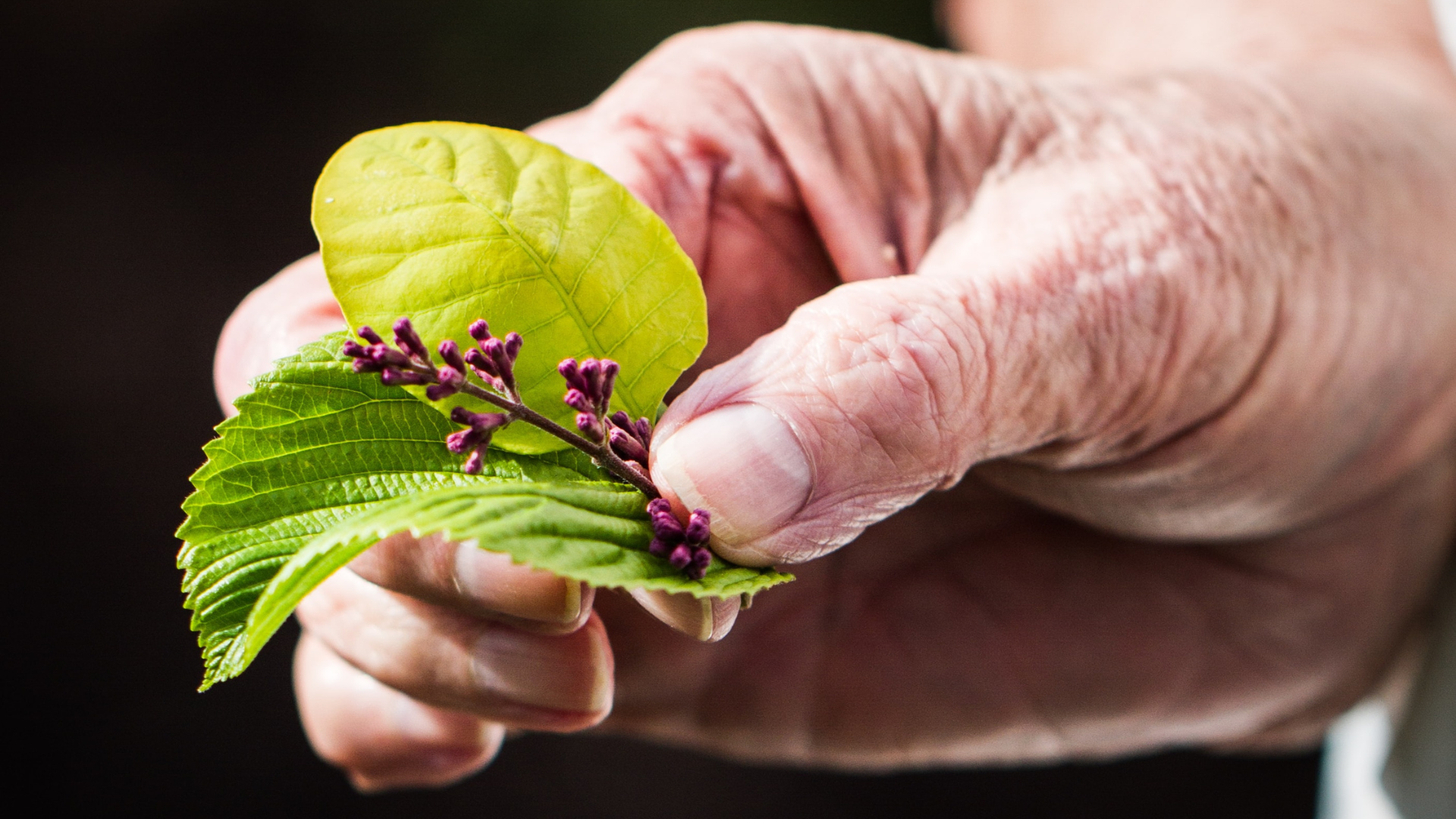 Vieillir en EPHAD, mais toujours vivre en Démocratie