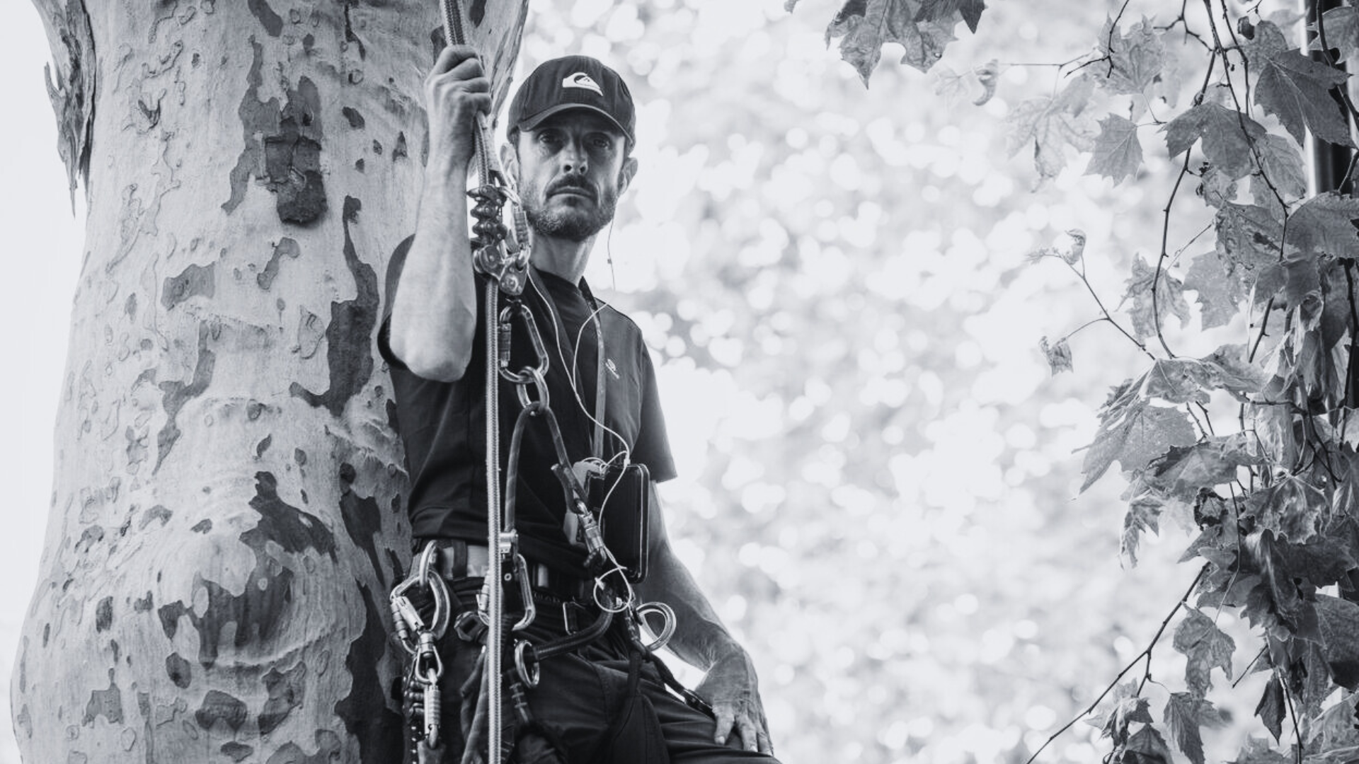 Lettre à Thomas Brail