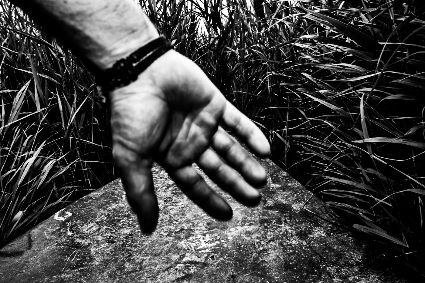 Sophie Djigo : « la répression crée de l’immigration illégale »