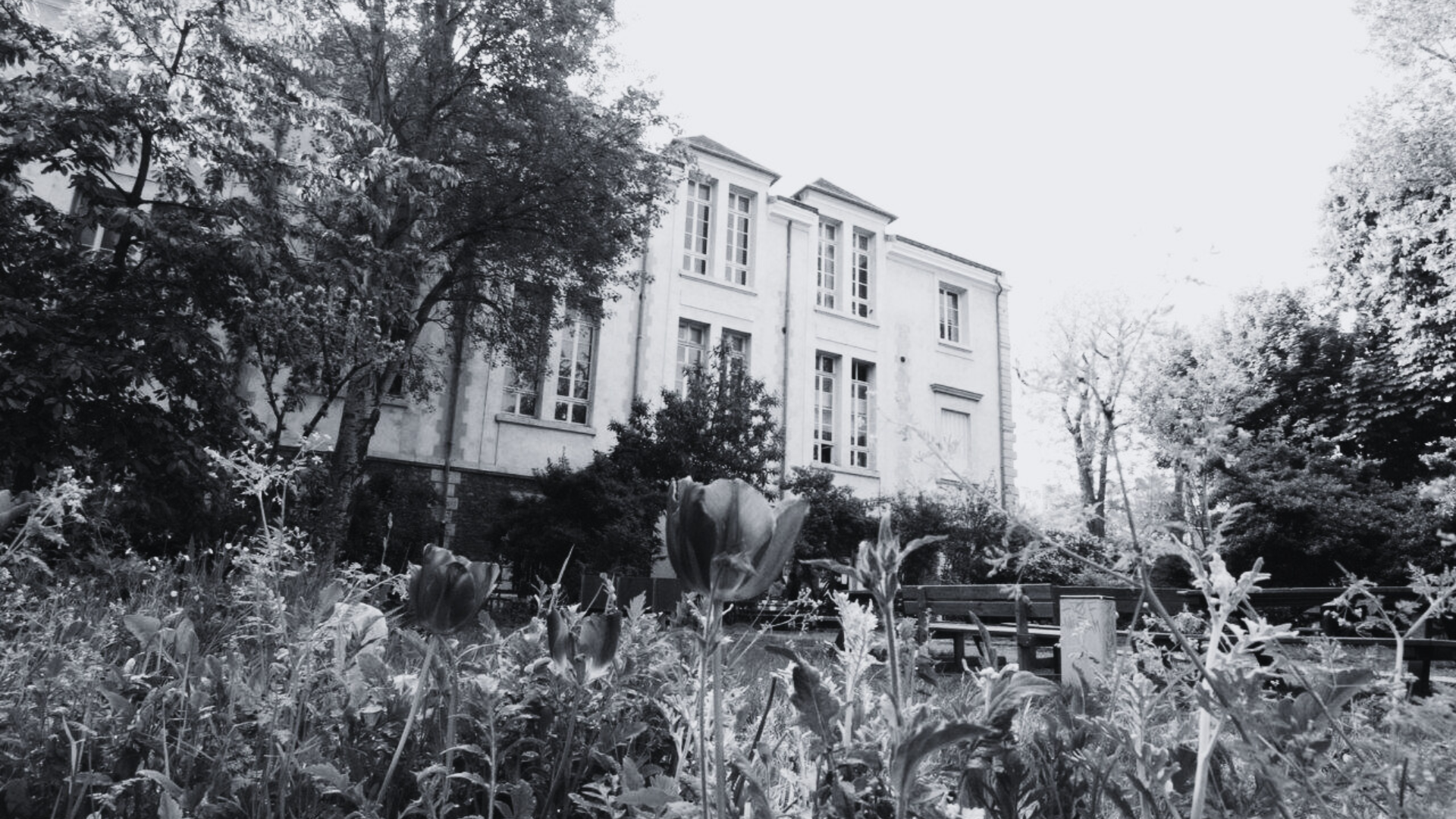 Requiem pour un lycée autogéré parisien