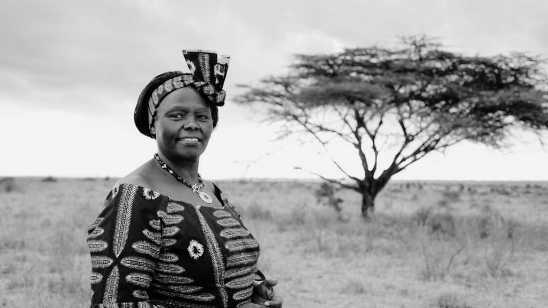 Wangari Maathai, la Femme des Arbres